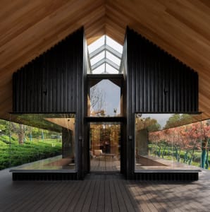 Open living area with wooden floors and walls, large windows, and natural light