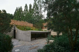 A modern house surrounded by trees, featuring large windows and concrete exterior walls, with natural light and a sense of tranquility