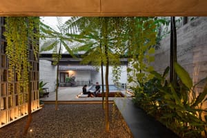 Cozy living area with a wooden deck, dim lighting, and multiple potted plants