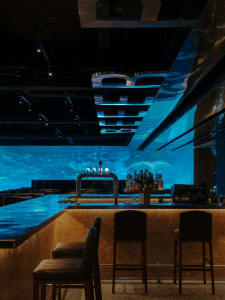 A bar with a large blue whale sculpture centerpiece, bottles on display, and a relaxing atmosphere