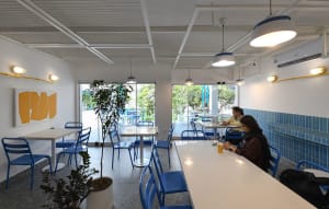 Modern restaurant interior with tables, chairs, and potted plants, featuring a warm and inviting atmosphere