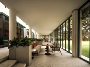 A dining area with a large table surrounded by chairs and potted plants, set in a comfortable and inviting space