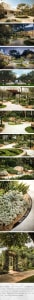 A serene garden scene with a bench surrounded by lush greenery and potted plants, set against a backdrop of trees
