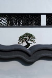 A bonsai tree in front of a white building with a black roof, set against a neutral background