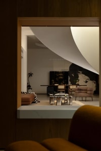Cozy modern living area with a couch, chair, coffee table, and TV, dimly lit with two potted plants