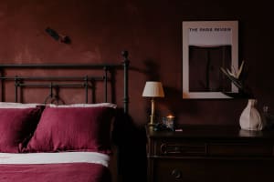 Bedroom with a red wall, a bed, two pillows, a lamp, and a picture above the bed