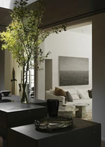 Cozy living area with a black table, potted plant, two couches, a chair, and a dining table, with books scattered around the room