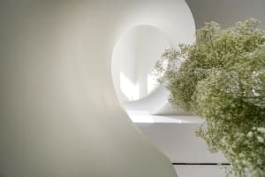A calm indoor space with a white wall, a large vase with purple flowers, and a serene atmosphere