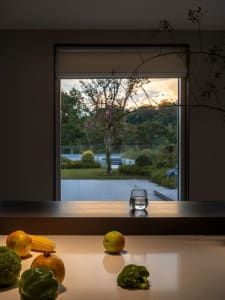 A kitchen with a countertop featuring a display of apples, oranges, and bananas, accompanied by a potted plant and a vase, creating a warm and inviting atmosphere