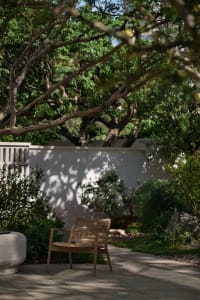 A wooden chair sits on a concrete patio surrounded by trees, inviting relaxation and a connection with nature