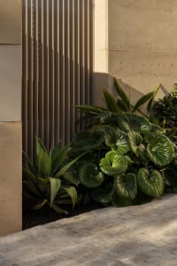 A garden scene with potted plants and large leafy plants, set in an outdoor living space with lush atmosphere