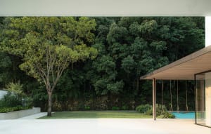 A serene outdoor space with two wooden benches surrounded by trees, creating a peaceful atmosphere for relaxation and nature appreciation