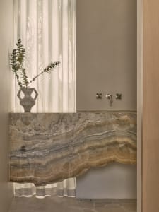 Bathroom with two sinks, marble countertop, and a potted plant near the left sink