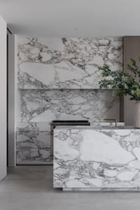 Modern kitchen with white marble countertops and grey walls, featuring a sink, oven, and potted plant
