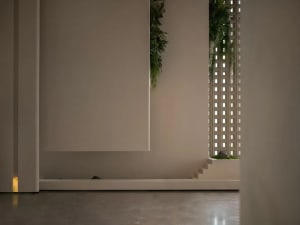 A calm and inviting living room or hallway with a white wall, staircase, and a potted plant adding a touch of greenery
