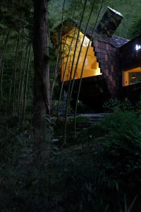 A modern house with a unique roof design, surrounded by a forest, featuring a large window and natural light, with a warm and rustic wood construction