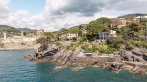 A residential area with a mix of modern and traditional houses on a hillside, surrounded by lush greenery and overlooking the water