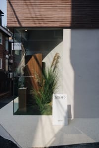A storefront with a display of plants and a sign, featuring a glass door and window, with natural light and a modern appearance