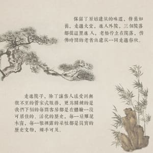 A garden with a tree and a rock in front of it, surrounded by a pine tree and other natural elements