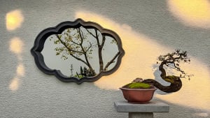 A cozy room with a mirror reflecting a tree outside, decorated with a potted plant, vase, and bowl