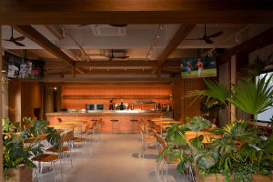 Modern restaurant with a wooden bar, dining tables, and chairs, featuring a warm and inviting atmosphere with natural materials