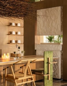 A dining area with a wooden table surrounded by chairs and potted plants, creating a warm and inviting atmosphere