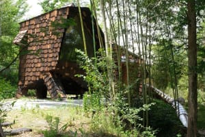 A modern minimalist house with a wooden structure, surrounded by trees, featuring a large window and natural light