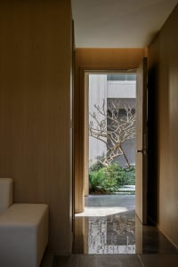 Cozy living room with a wooden floor, a wooden door, and a view of the patio through an open doorway, featuring a tree and a warm atmosphere