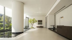 Bright and airy lobby with white walls, floor, and ceiling, featuring natural light and a potted plant