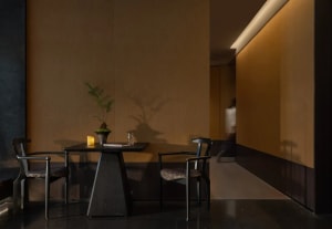 Dimly lit dining room with a wooden floor, a brown table, and black chairs, surrounded by a potted plant