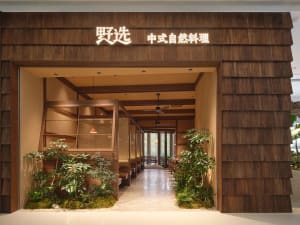 A modern restaurant with a wooden exterior, well-lit interior, and natural materials, featuring furniture, a potted plant, and a welcoming atmosphere