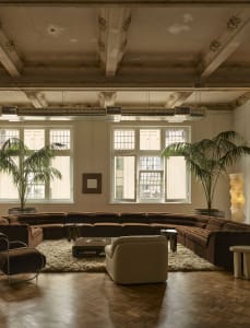 Comfortable living space with modern furniture, natural light, and potted plants