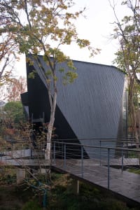 A modern building with a black exterior surrounded by trees, creating a striking contrast and serene atmosphere