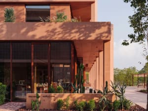 A modern building with a red brick facade, adorned with greenery and natural light streaming in through the long row of windows
