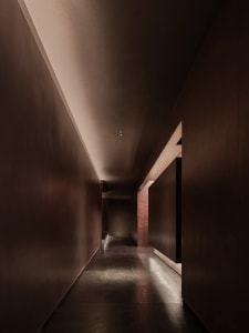 Narrow hallway with dark brown walls, a wooden floor, and dim lighting creating a mysterious and intimate atmosphere