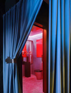 Bathroom with a red door, blue curtains, a toilet, sink, and a vase, creating a cozy and intimate atmosphere