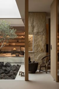 A well-lit living space with a large tree, dining table, chairs, couch, and decorative items, surrounded by natural light from the window
