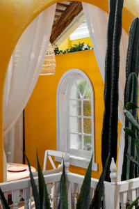 Dining area with a yellow wall, white window, and natural light from the window, featuring a dining table, chairs, a potted plant, and a vase