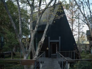 A modern black house with a wooden deck and metal railing, surrounded by trees in a natural environment