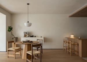 A modern dining room with a wooden floor, a dining table, chairs, and a potted plant, featuring a sink and a bowl, in a dimly lit space