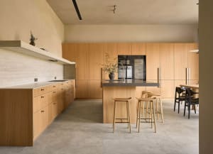 Warm and inviting kitchen with wooden cabinets, a center island, and a potted plant, set against a well-lit background