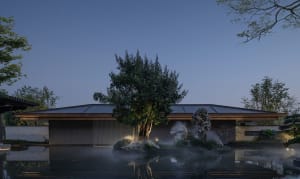 A serene modern house with a pool and a rock garden, surrounded by a large tree, with a blue pool and natural evening lighting