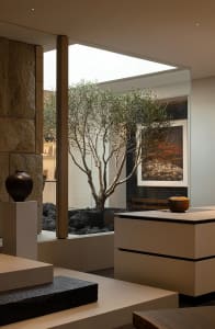 A modern living room with a large window, a tree in a pot, a bench, and a vase, featuring a combination of natural and artificial lighting