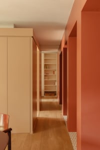 Cozy hallway with wooden floor, red wall, and bookshelves containing variously arranged books, lit by natural light