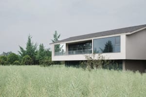 A modern house with a white exterior, surrounded by a lush green field, featuring a large deck and clean lines, with natural light streaming through the windows