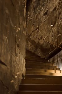 A stone staircase with a metal railing in a dark room, creating a moody atmosphere