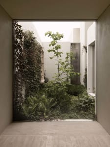 a well-maintained outdoor garden with a variety of green plants and a large tree in the center