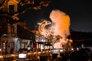 A nighttime photograph of a restaurant with a large bird statue on top, illuminated and surrounded by trees