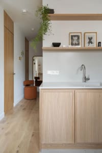 A well-lit kitchen with wooden cabinets, a sink, and a potted plant, creating a warm and inviting atmosphere