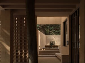 A serene outdoor space with a wooden bench and a tree, surrounded by a patio area with a staircase and doorway, bathed in natural sunlight